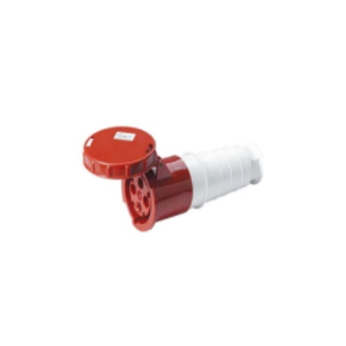 ZD Plugs & Sock